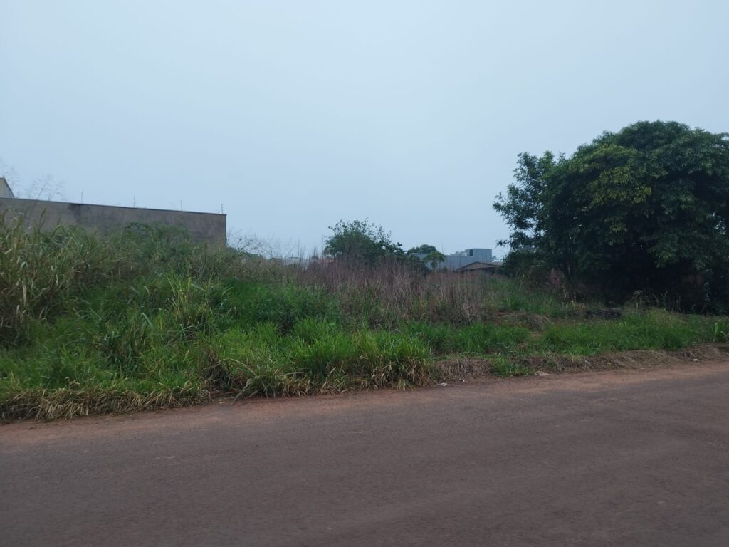 Éder Pinzan pede informações sobre aplicação da lei de limpeza de terrenos em Amambai
