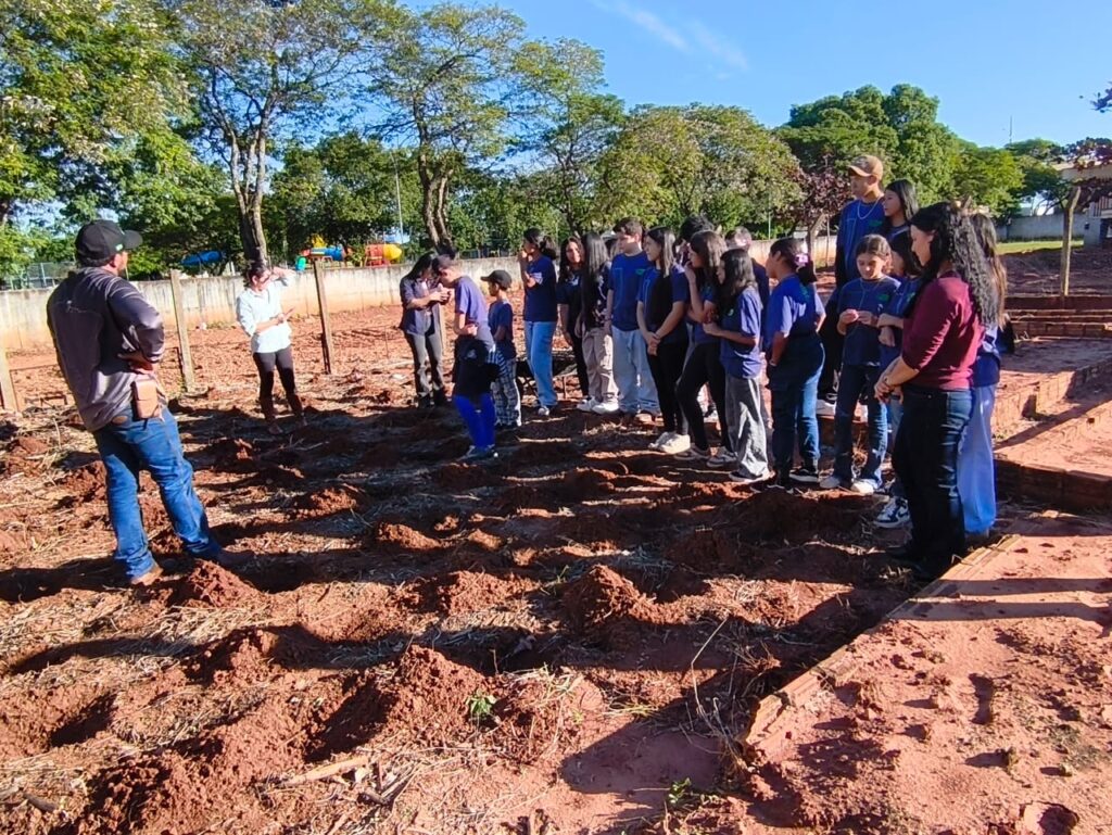 Escola estadual desenvolve prática do cultivo da mandioca em Iguatemi