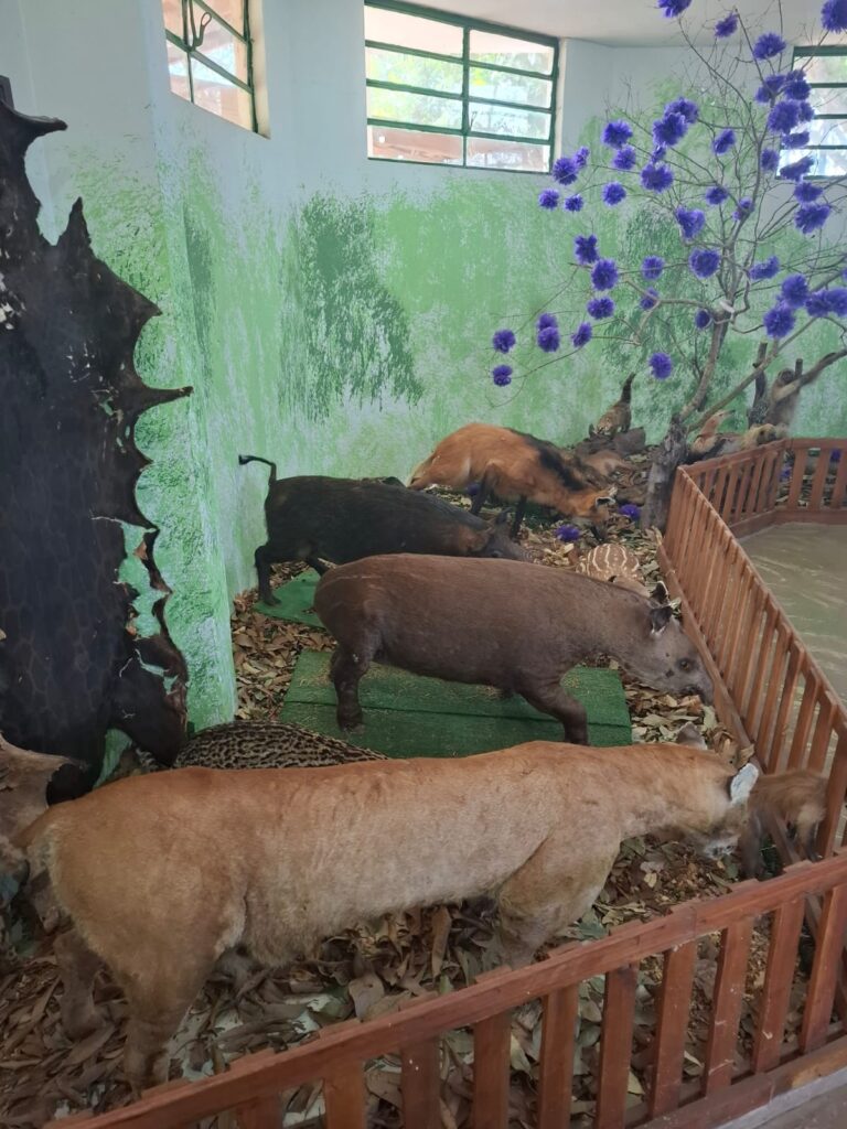 Prefeito de Amambai se reúne com comando da Polícia Militar Ambiental para fortalecer parcerias