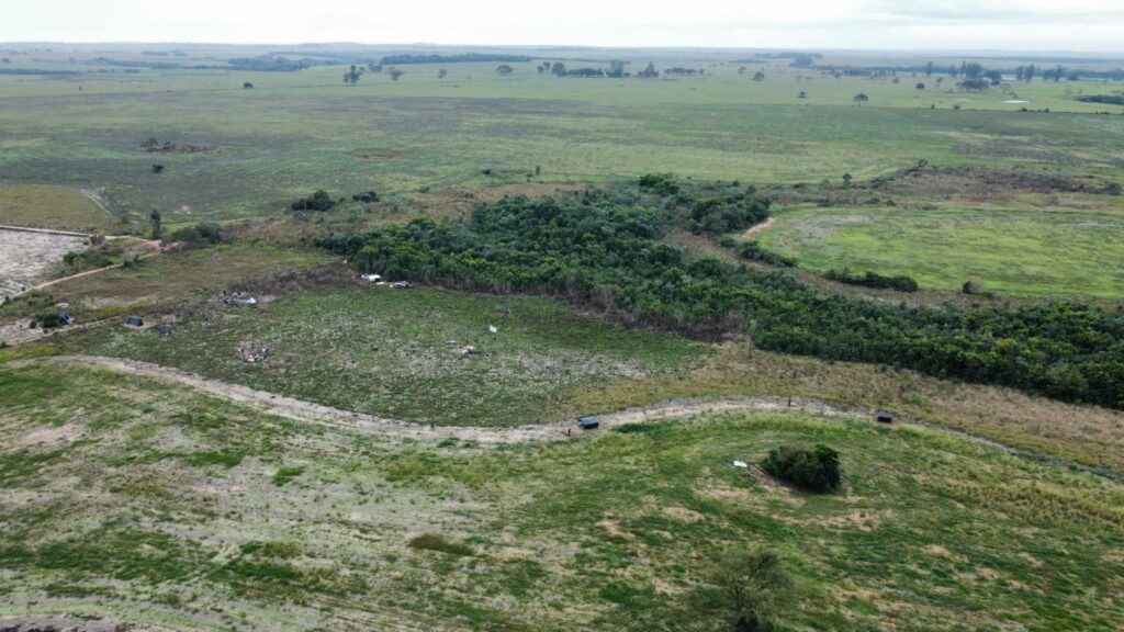 Após decisão da Justiça Federal, indígenas voltam a ocupar Fazenda Limoeiro em Amambai Após decisão da Justiça Federal, indígenas voltam a ocupar Fazenda Limoeiro em Amambai
