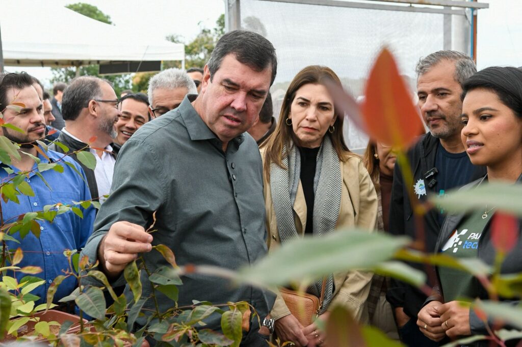 Com preservação e valorização econômica, Pantanal TechMS valoriza bioma e fortalece comunidades Com preservação e valorização econômica, Pantanal TechMS valoriza bioma e fortalece comunidades