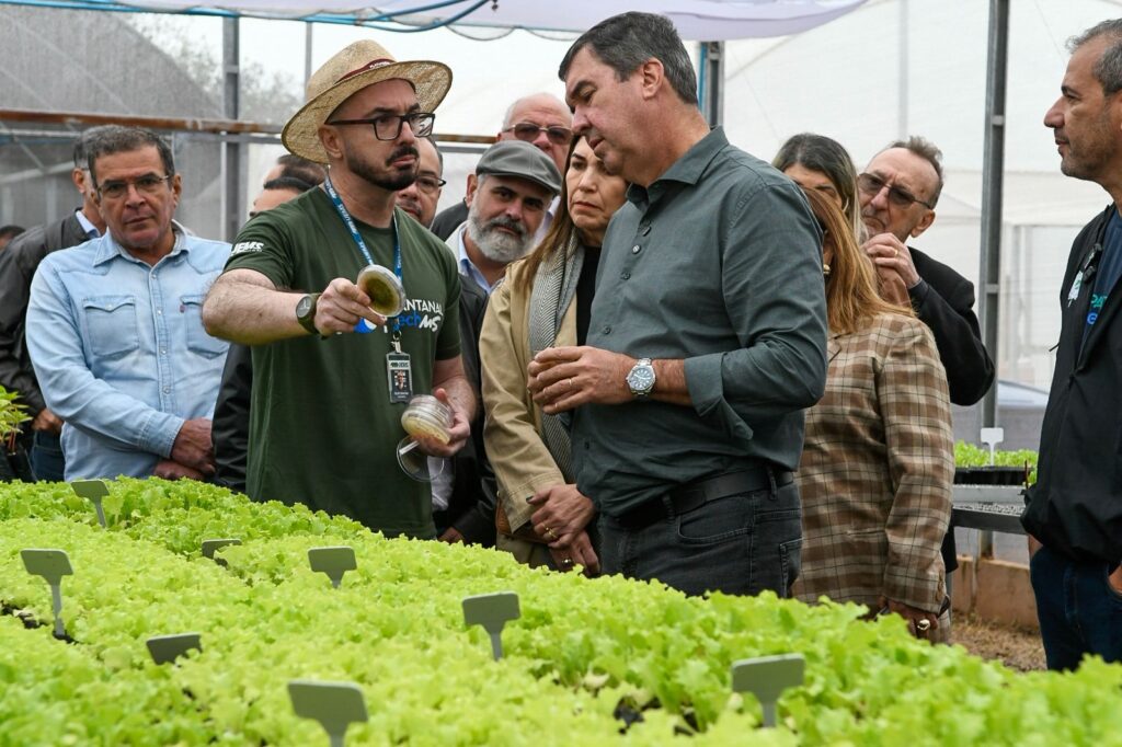 Com preservação e valorização econômica, Pantanal TechMS valoriza bioma e fortalece comunidades Com preservação e valorização econômica, Pantanal TechMS valoriza bioma e fortalece comunidades