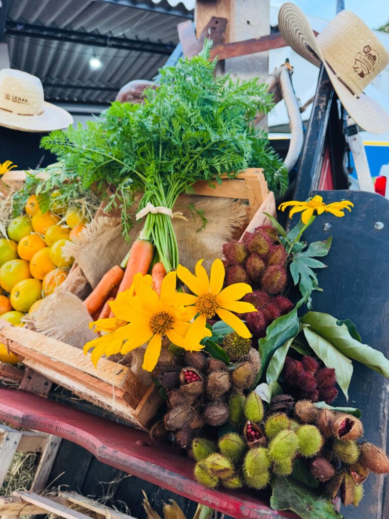 Feira do Produtor Rural e Empreendedor foi um sucesso em Tacuru Feira do Produtor Rural e Empreendedor foi um sucesso em Tacuru