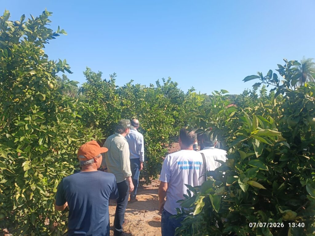 Caravana de Amambai realiza visita técnica a Costa Rica para conhecer projetos de referência Caravana de Amambai realiza visita técnica a Costa Rica para conhecer projetos de referência