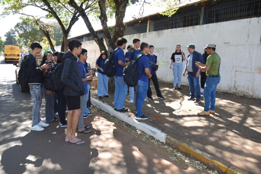 Iguatemi: Secretaria de Meio Ambiente promove plantio de árvores em frente à Escola Oito de Maio Iguatemi: Secretaria de Meio Ambiente promove plantio de árvores em frente à Escola Oito de Maio