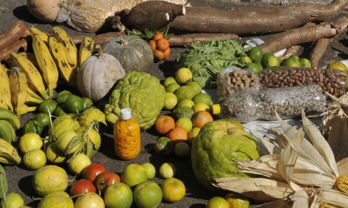 agricultura_familiar