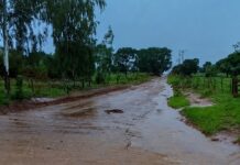 Zé Teixeira cobra obras em Nova Andradina e estrutura em Deodápolis e Paranhos
