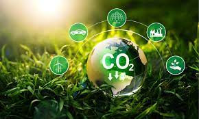 O que é o crédito de carbono? Entenda o mercado que pode gerar recursos para quem mantém a floresta em pé