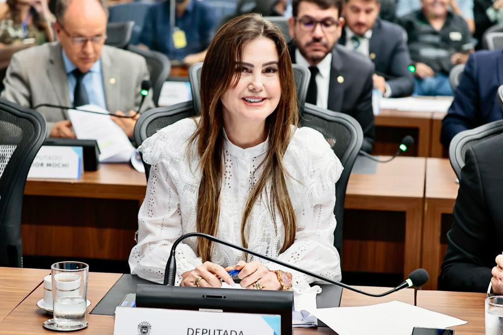 Deputada pede dispensa de exigência em edital da Lei Aldir Blanc