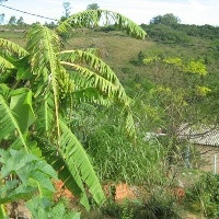 Portarias sobre territórios quilombolas trazem insegurança aos produtores