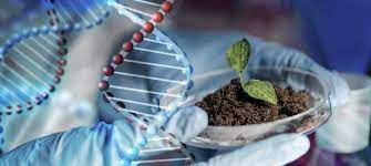 Empresa cria primeiros NFTs de dados genéticos do agro