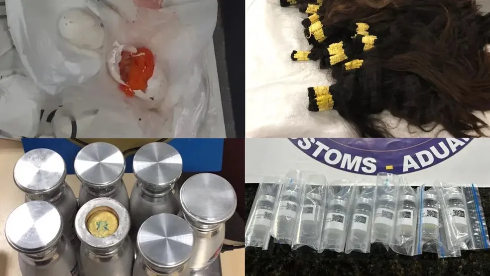 'Bomba' de coxinha, células-tronco e rubis: veja apreensões inusitadas feitas no aeroporto de Foz do Iguaçu