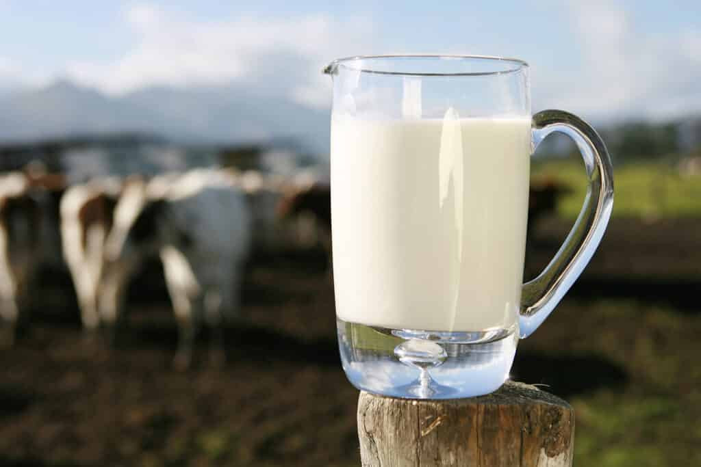 Cenário desafiador para produtores de leite