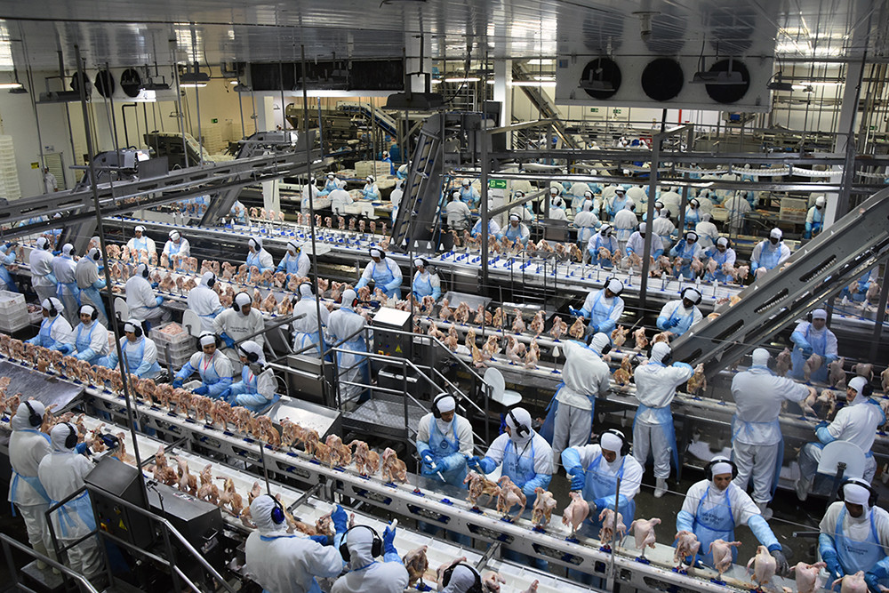 Maioria das indústrias já adota ações para melhorar sustentabilidade