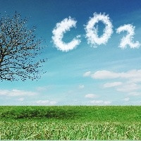 Agricultores receberão créditos de carbono após colheita da safra 2023/2024
