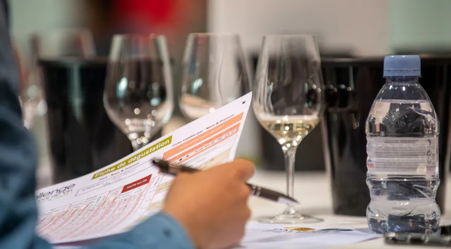 Vinhos brasileiros são premiados com ouro e prata em competição na França