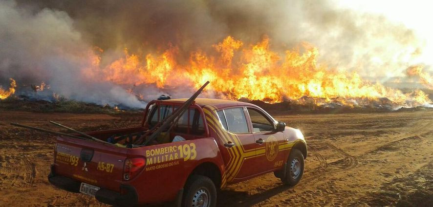 'Se nada for feito, iremos pelo pior caminho possível', diz especialista sobre aumento de temperatura