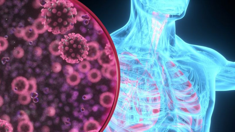 Covid-19: Brasil registra 12,7 mil casos e 39 mortes em 24 horas