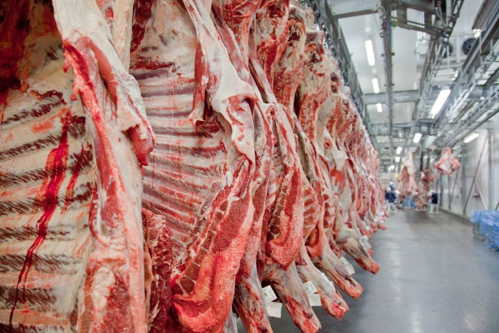 Carne tem maior queda de preço em cinco anos, e consumo aumenta