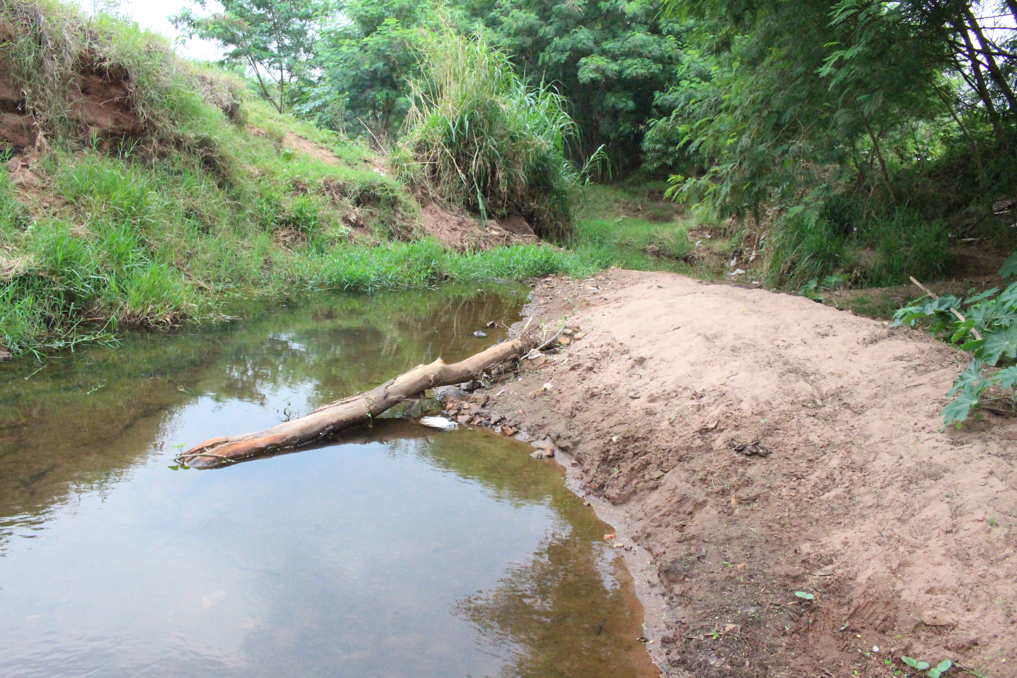 Dr. Odil Puques quer criação de Parque Linear as margens do Córrego Areião em Amambai