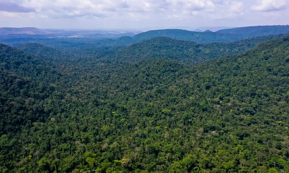 Cumprimento do Acordo de Paris vai além da Amazônia, aponta relatório