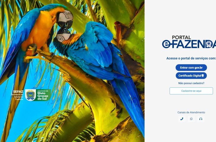 IPVA 2024 poderá ser pago com Pix; novo portal garante segurança para contribuintes em MS