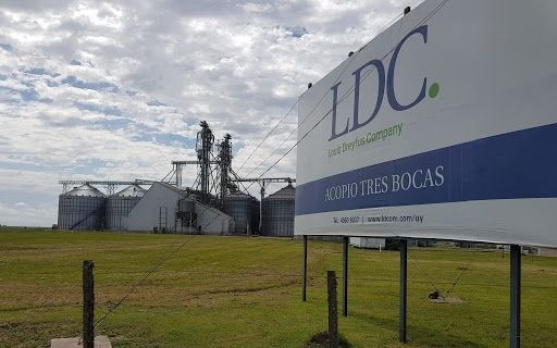 Louis Dreyfus Company anuncia novo projeto de expansão em Matão (SP)