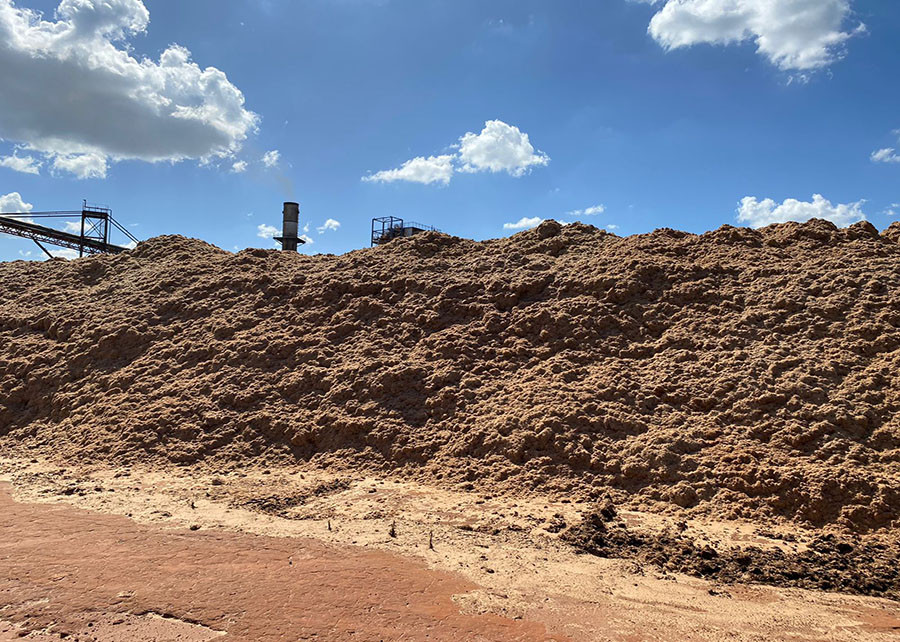 Ciência avança na produção de biomassa não madeireira
