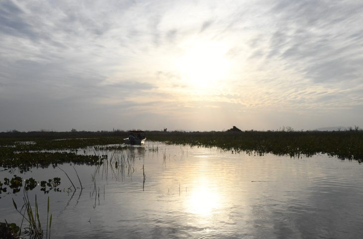 Instrumento para preservação e desenvolvimento, Lei do Pantanal tem reconhecimento de entidades e ONGs