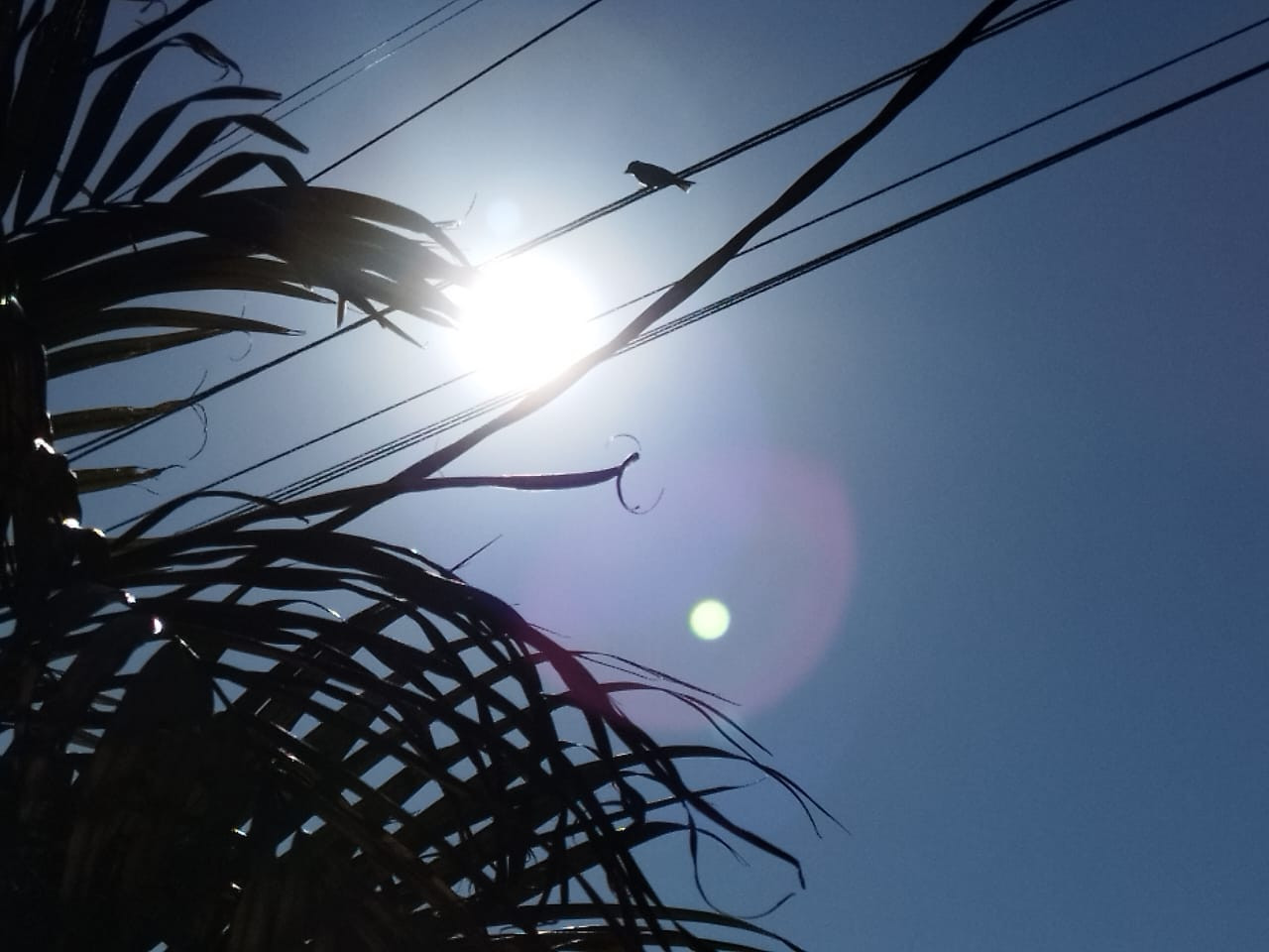 Sábado tem previsão de sol mas instabilidades podem ocorrer no período da tarde em MS