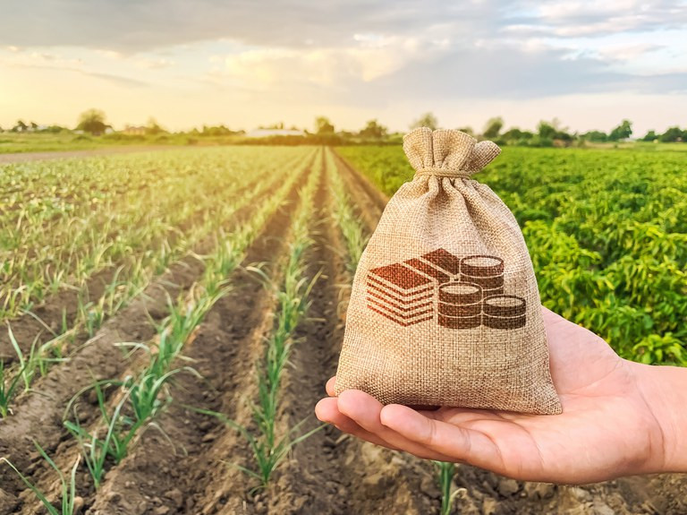 Desembolso do crédito rural somou R$ 25,8 bilhões em julho