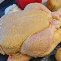 Exportações de carne de frango acumulam alta de 5,6% em 2023