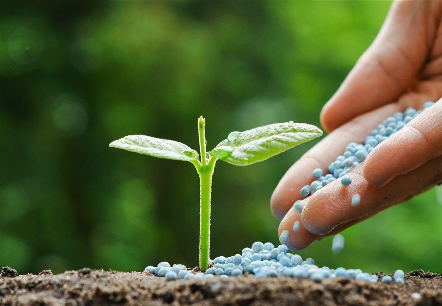 Rússia promete manter comércio de fertilizantes com Brasi