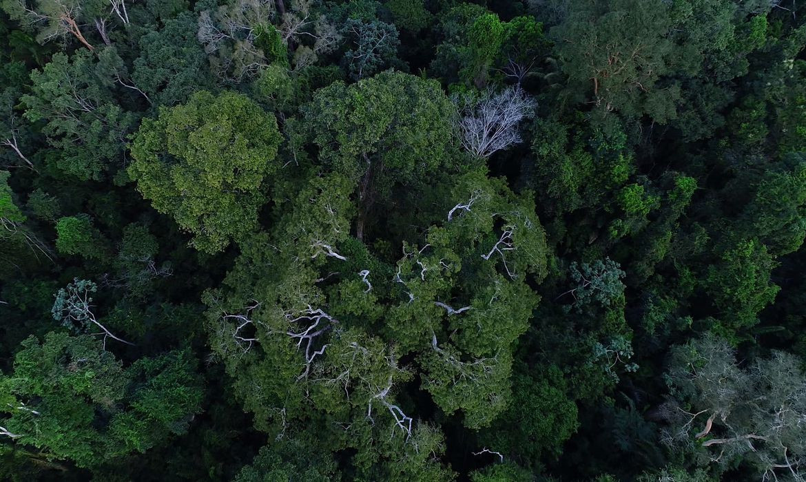 Belém sedia Diálogos Amazônicos a partir desta sexta-feira