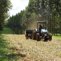 Tecnologias aumentam eficiência do uso de nutrientes no campo