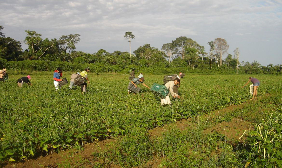 Brasil e Senegal ampliam cooperação em defesa e agropecuária