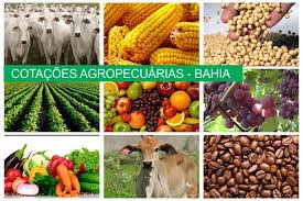 Veja as cotações agropecuárias para hoje, 21 de junho