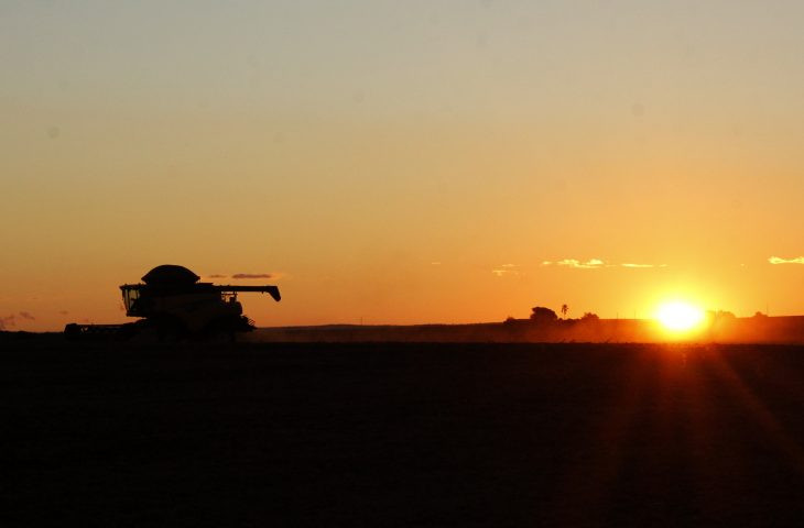 Mato Grosso do Sul é o 1º estado do Brasil em desenvolvimento agropecuário
