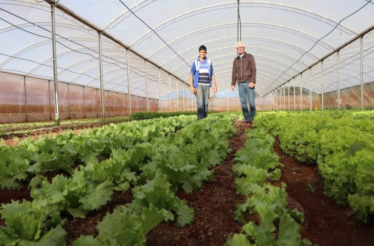 Fundect e Agraer apresentam em seminário pesquisas para agricultura familiar