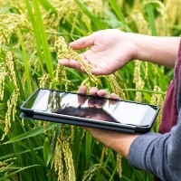 Acesso à Internet no Brasil atinge 87,2% da população em 2022