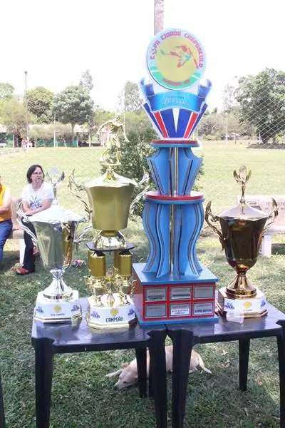 Fazenda Flamboyant/Intech Telecom faz 4x1 na final e é campeã da Copa Cidade Crepúsculo 2024 em Amambai Fazenda Flamboyant/Intech Telecom faz 4x1 na final e é campeã da Copa Cidade Crepúsculo 2024 em Amambai