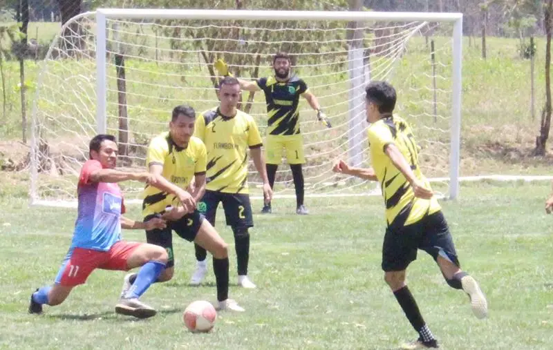 Fazenda Flamboyant/Intech Telecom faz 4x1 na final e é campeã da Copa Cidade Crepúsculo 2024 em Amambai Fazenda Flamboyant/Intech Telecom faz 4x1 na final e é campeã da Copa Cidade Crepúsculo 2024 em Amambai