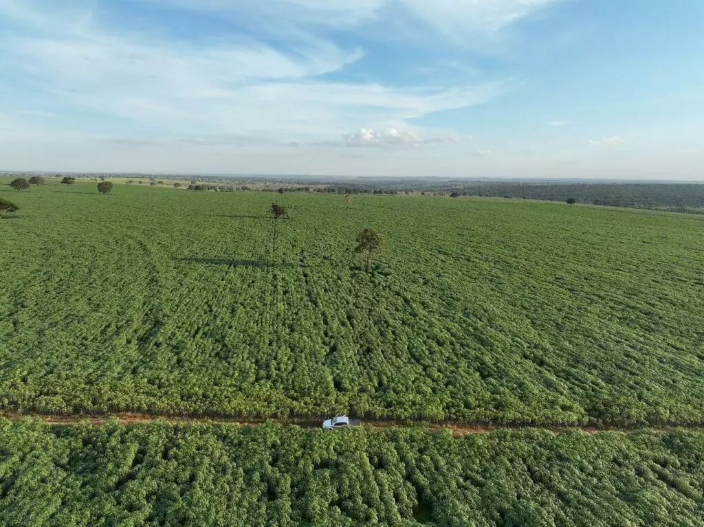 Presidente da Socipar-PR e secretário municipal de Desenvolvimento Econômico visitaram produção agrícola de Iguatemi