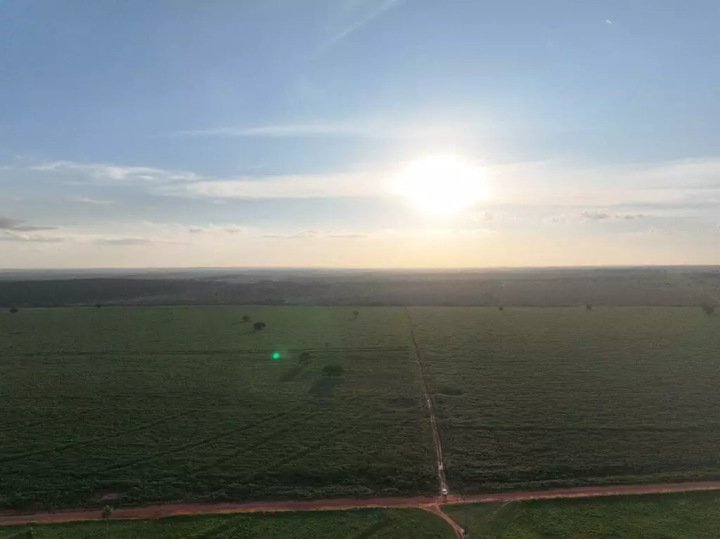 Presidente da Socipar-PR e secretário municipal de Desenvolvimento Econômico visitaram produção agrícola de Iguatemi