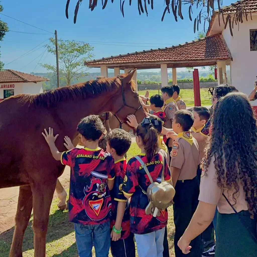 Desbravadores Atalaias do Rei de Amambai visitou o 17° RC Mec Regimento Solon Ribeiro Desbravadores Atalaias do Rei de Amambai visitou o 17° RC Mec Regimento Solon Ribeiro
