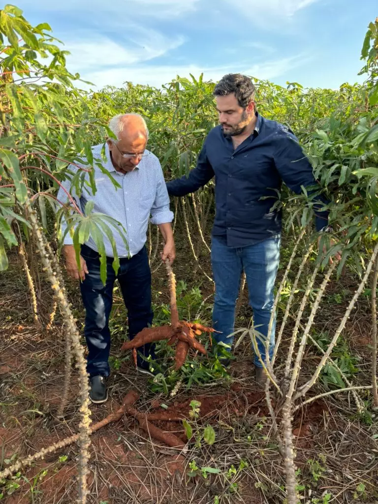 Presidente da Socipar-PR e secretário municipal de Desenvolvimento Econômico visitaram produção agrícola de Iguatemi