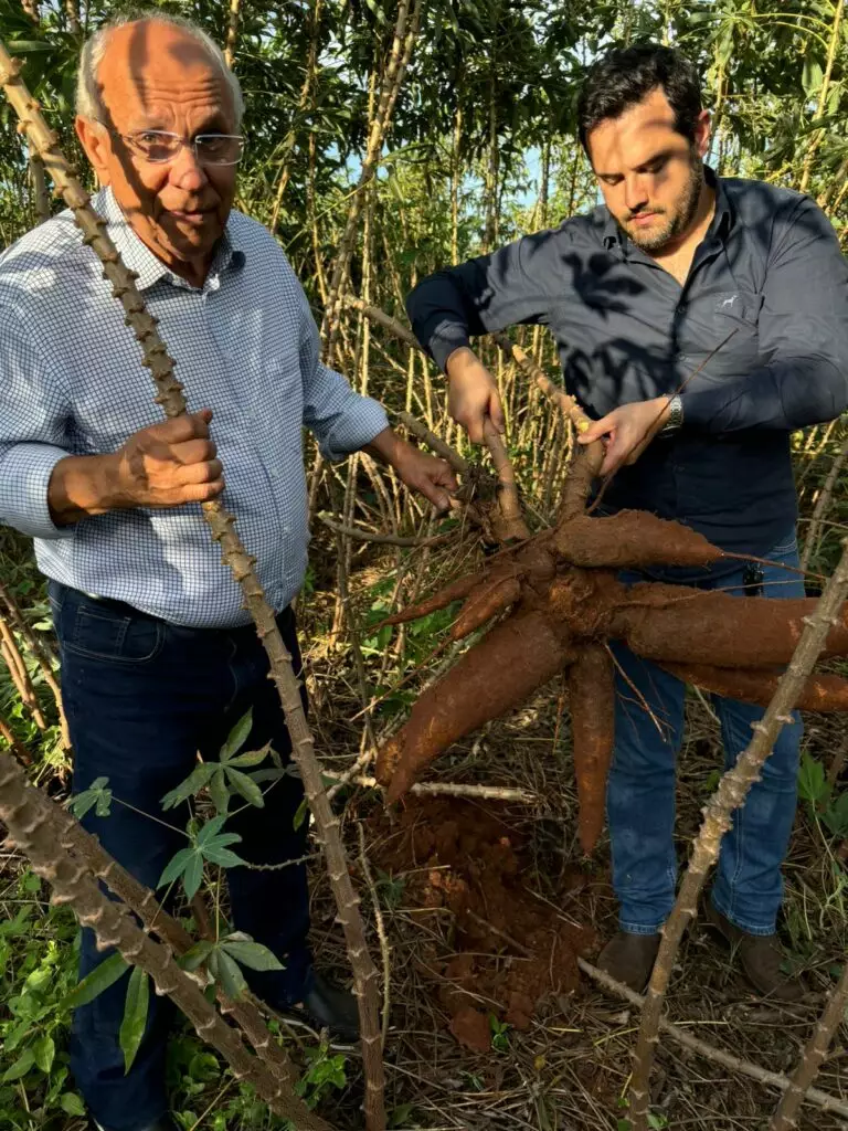 Presidente da Socipar-PR e secretário municipal de Desenvolvimento Econômico visitaram produção agrícola de Iguatemi
