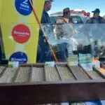 Agro Campo movimentou o setor agropecuário com Dia de Campo em Amambai