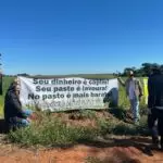 Agro Campo movimentou o setor agropecuário com Dia de Campo em Amambai