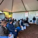 Agro Campo movimentou o setor agropecuário com Dia de Campo em Amambai
